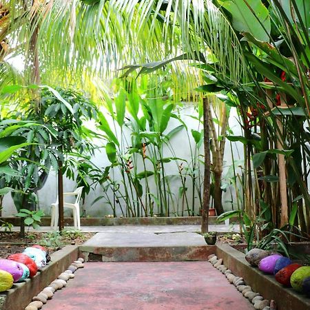 The Amazon Within Hostel Iquitos Exterior photo